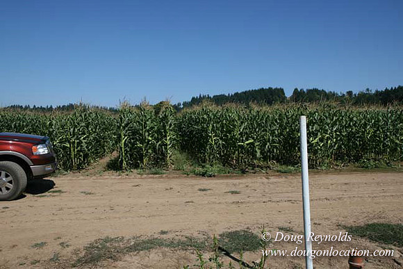 Farm 4 has Barns Shops they grow Wheat and Corn.  in the Portland Zone