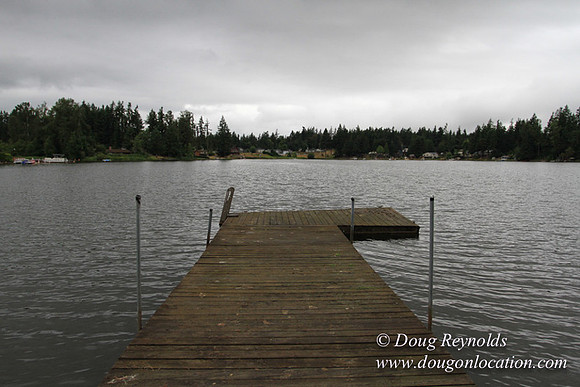 Cabin, Curtis, Dock, Green, Home, Lake, Small, WA, Washington, Yard, Yard, deck