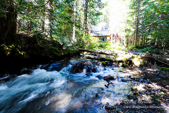 Karri's Cabin