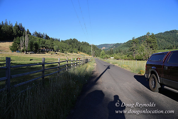 Neil Creek Horses-8560