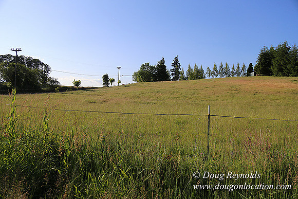 Moores Rd 1-7003