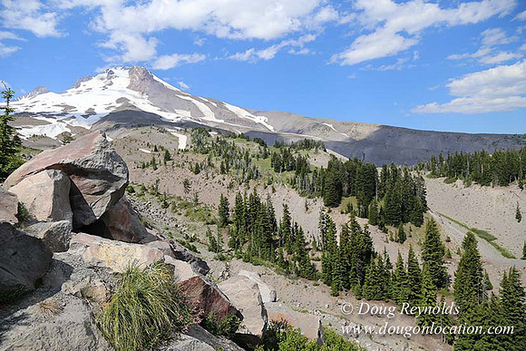 Timberline East rock-6793