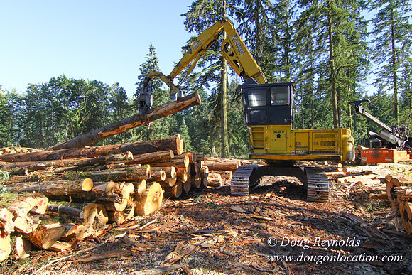 Craig Logging-3177