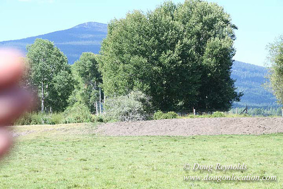 2500 Acres of green fields Creeks water crossing Bridges on a Large Lake and miles of Dirt roads Oak trees Forest land ATV Trails cows