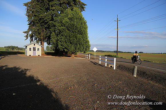 Toms Rd Side-6391