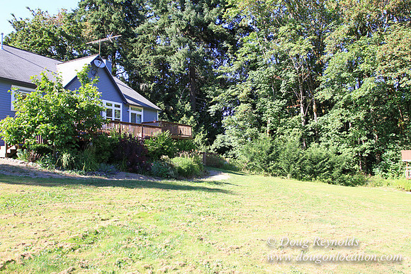 Traditional Style Home small farm with large kitchen great room, 2 story, 2 car garage on Acreage with large back yard, large front yard, garden, pond, deck, goats, bees, shop, PDX Zone