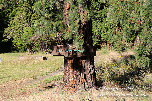 Elk Haven Ranch-8564