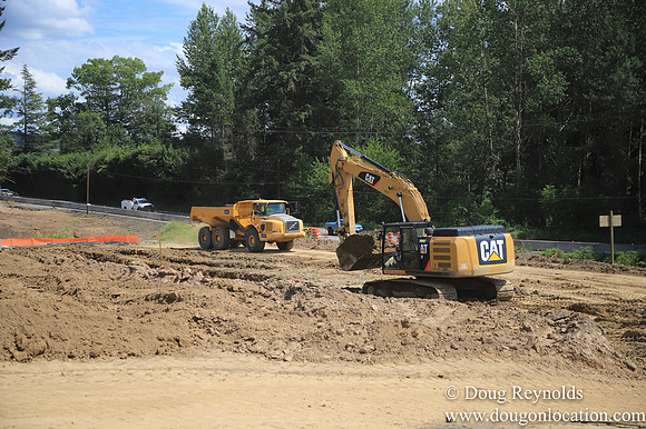 NEI Site SW Vander & SF Rd