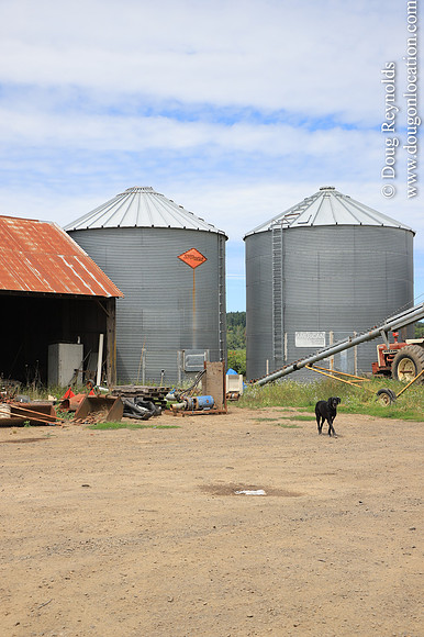 Tom Duycks Silos