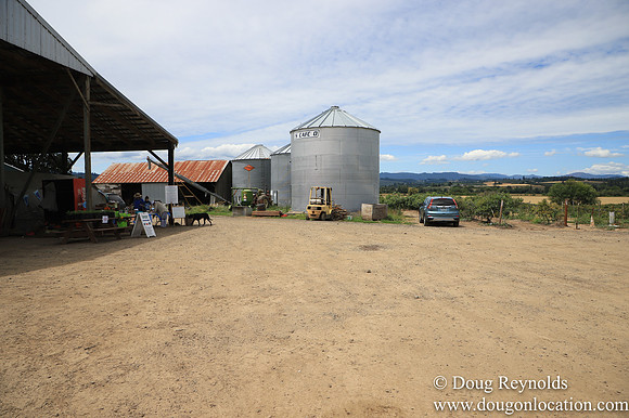 Tom Duycks Silos