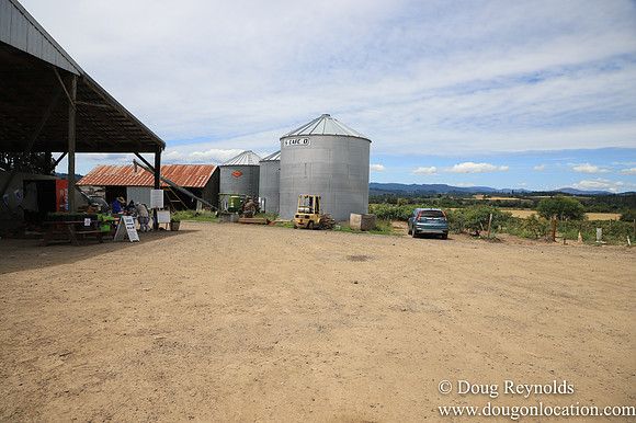 Tom Duycks Silos