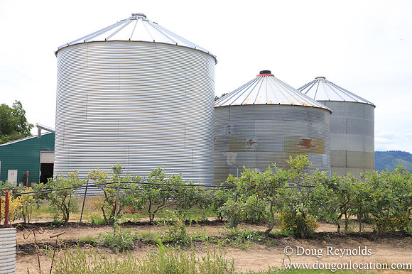 Tom Duycks Silos