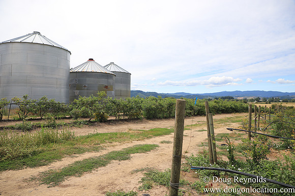 Tom Duycks Silos