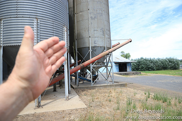 JC Seed Silos