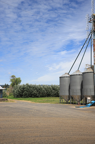 JC Seed Silos