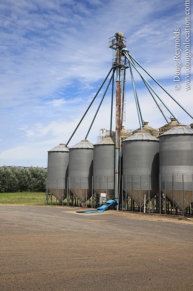 JC Seed Silos