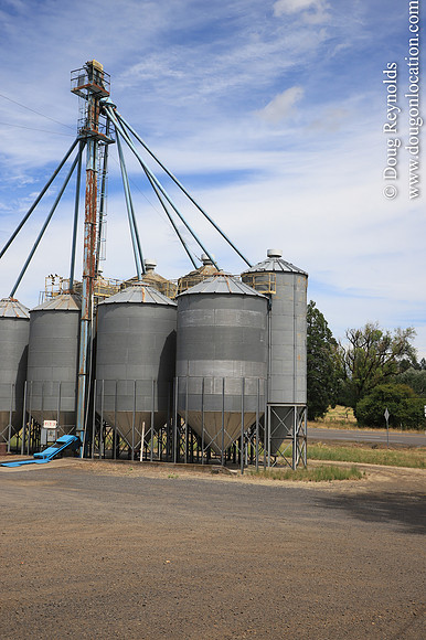 JC Seed Silos