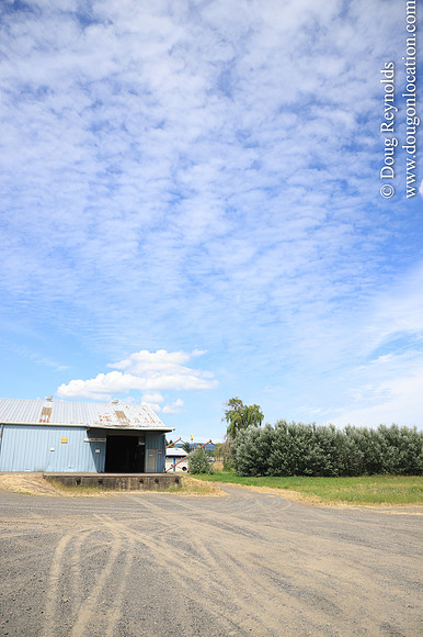 JC Seed Silos