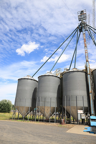 JC Seed Silos