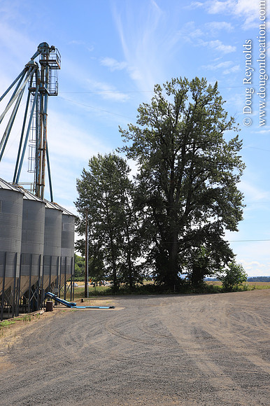 JC Seed Silos