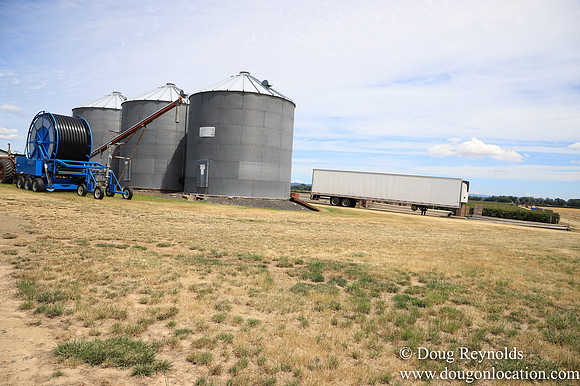 Larry Duycks Silos