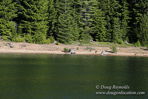 Clear Lake-3571