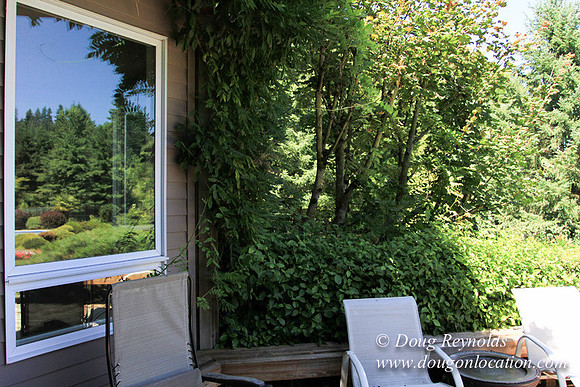 Jim’s Home Large beautiful traditional 2 story with large rooms. Modern kitchen and great room, and nook, large master suite, large entry with French doors. Well maintained grounds and garden, with la