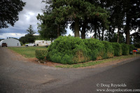 Galen Sheep Ranch