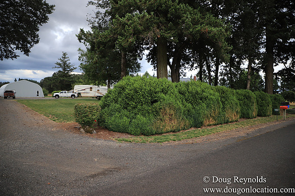Galen Sheep Ranch