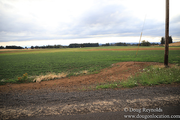 Galen Sheep Ranch