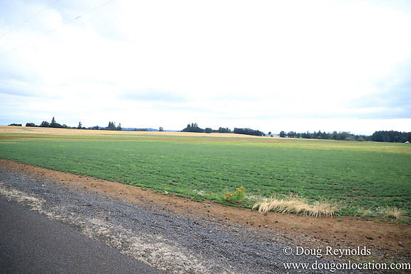 Galen Sheep Ranch