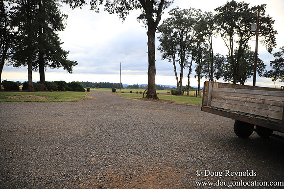 Galen Sheep Ranch