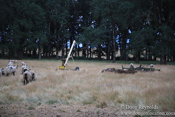 Galen Sheep Ranch