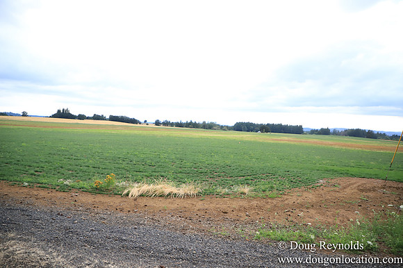 Galen Sheep Ranch