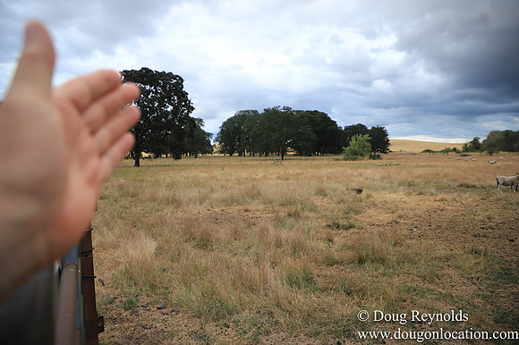 Galen Sheep Ranch