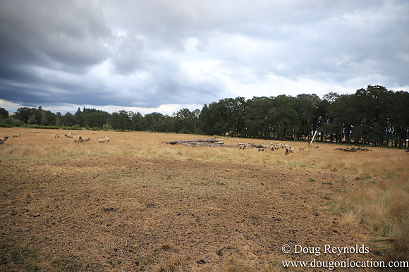 Galen Sheep Ranch