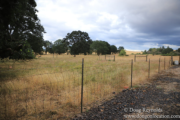 Galen Sheep Ranch