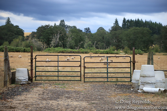 Galen Sheep Ranch
