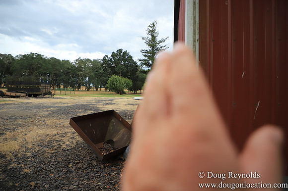 Galen Sheep Ranch