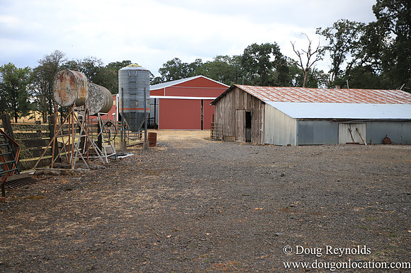 Galen Sheep Ranch