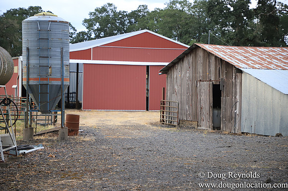 Galen Sheep Ranch