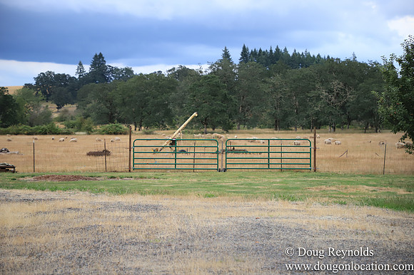 Galen Sheep Ranch