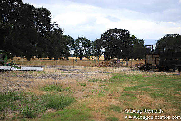 Galen Sheep Ranch
