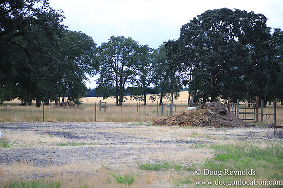 Galen Sheep Ranch
