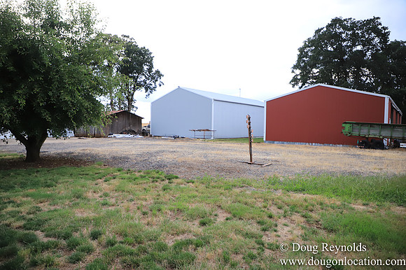 Galen Sheep Ranch