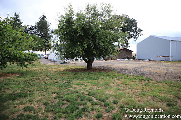 Galen Sheep Ranch