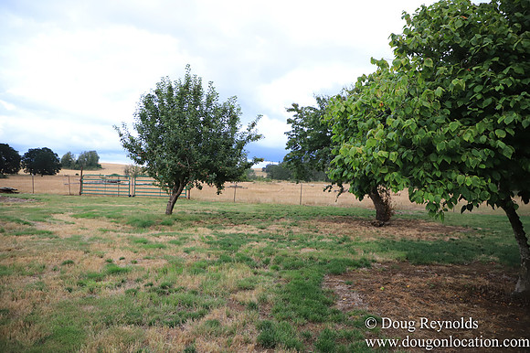 Galen Sheep Ranch
