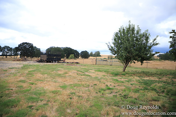 Galen Sheep Ranch