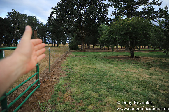 Galen Sheep Ranch