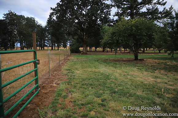 Galen Sheep Ranch
